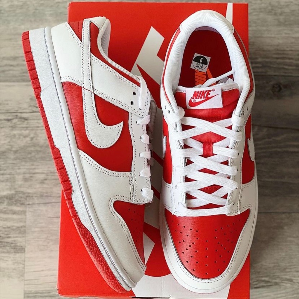 Brand new men size 9 Nike Dunk